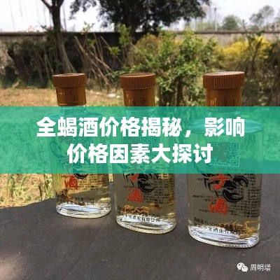 全蝎酒价格揭秘,影响价格因素大探讨