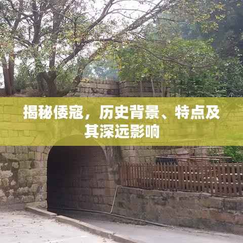 揭秘倭寇,历史背景、特点及其深远影响