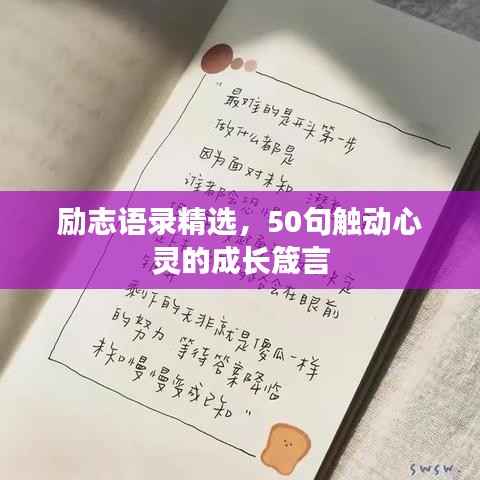 千载难逢 第3页