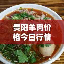 贵阳羊肉价格今日行情更新