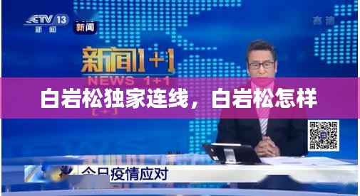 白岩松独家连线,白岩松怎样