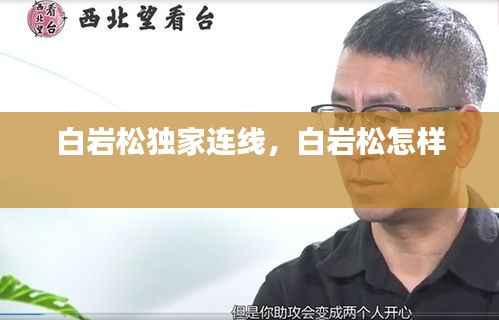 白岩松独家连线,白岩松怎样
