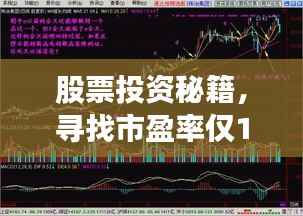 股票投资秘籍,寻找市盈率仅10的宝藏股!