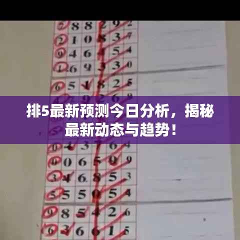 排5最新预测今日分析,揭秘最新动态与趋势!