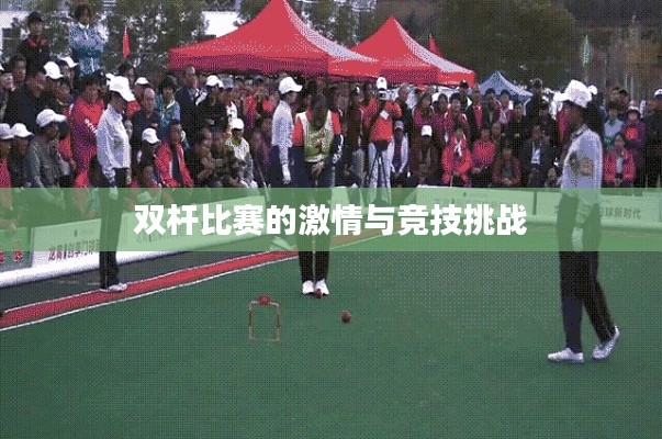 双杆比赛的激情与竞技挑战