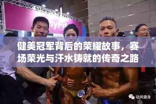 健美冠军背后的荣耀故事,赛场荣光与汗水铸就的传奇之路