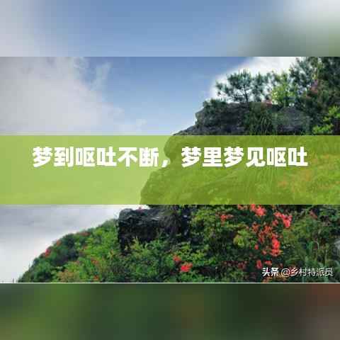 梦到呕吐不断,梦里梦见呕吐