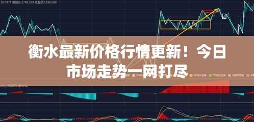 衡水最新价格行情更新!今日市场走势一网打尽