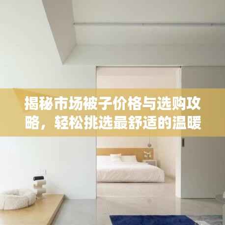 揭秘市场被子价格与选购攻略,轻松挑选最舒适的温暖之选