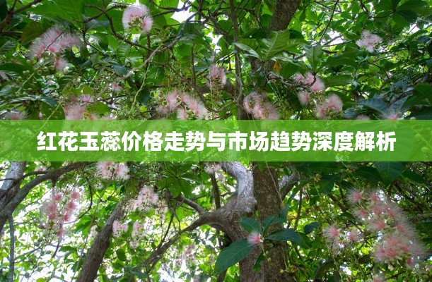 红花玉蕊价格走势与市场趋势深度解析