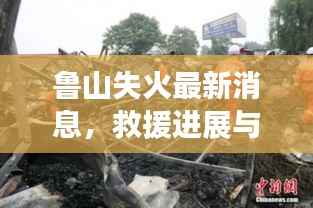 鲁山失火最新消息,救援进展与事故原因调查同步推进,视频曝光引关注