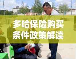 多哈保险购买条件政策解读,最新指南