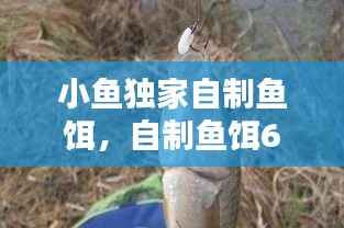 矢志不渝 第3页