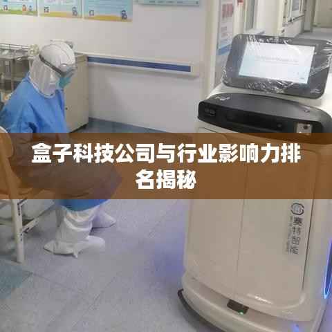 盒子科技公司与行业影响力排名揭秘