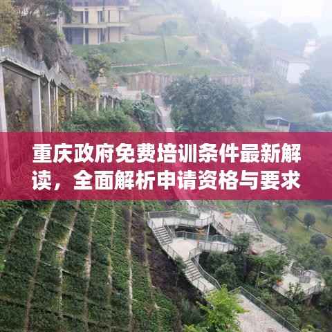 重庆政府免费培训条件最新解读，全面解析申请资格与要求