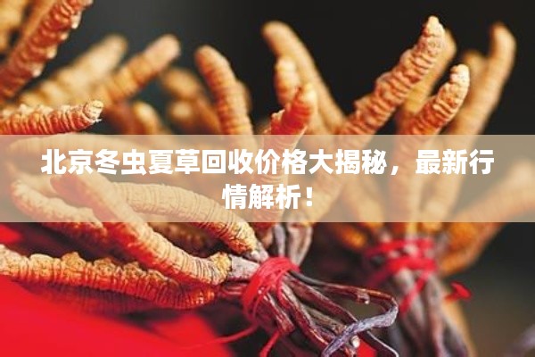 北京冬虫夏草回收价格大揭秘,最新行情解析!