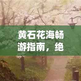 黄石花海畅游指南,绝美景点一网打尽!