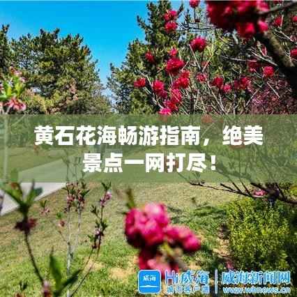 黄石花海畅游指南,绝美景点一网打尽!