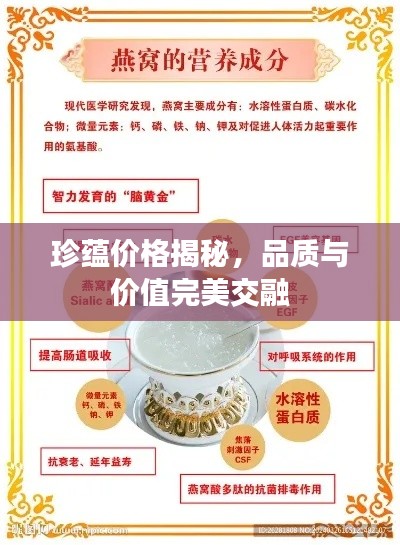 珍蕴价格揭秘,品质与价值完美交融