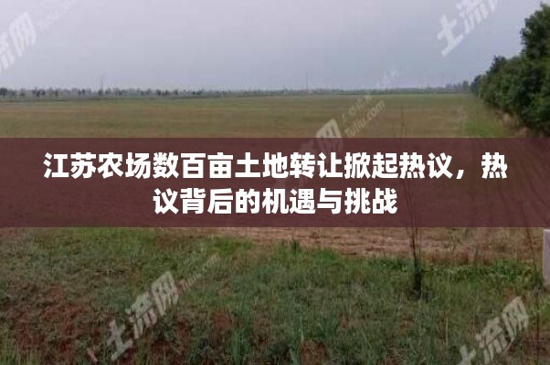 江苏农场数百亩土地转让掀起热议,热议背后的机遇与挑战