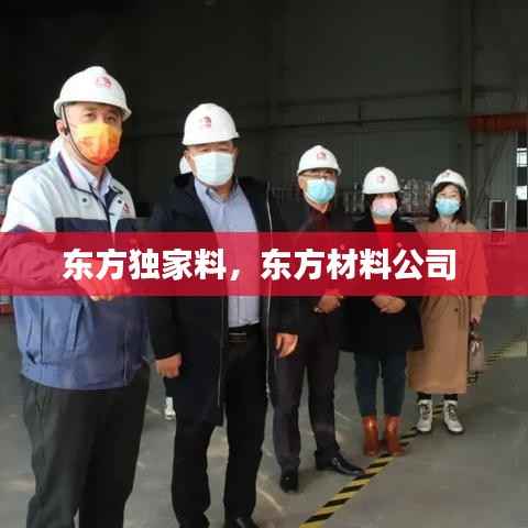 东方独家料,东方材料公司