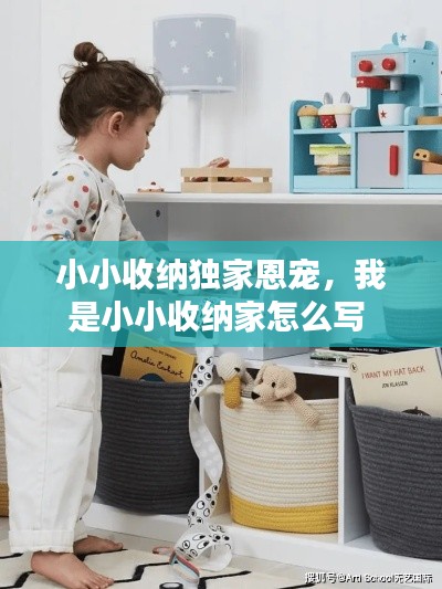 小小收纳独家恩宠,我是小小收纳家怎么写