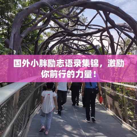 国外小胖励志语录集锦,激励你前行的力量!