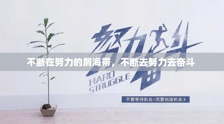 不断在努力的屑海带,不断去努力去奋斗