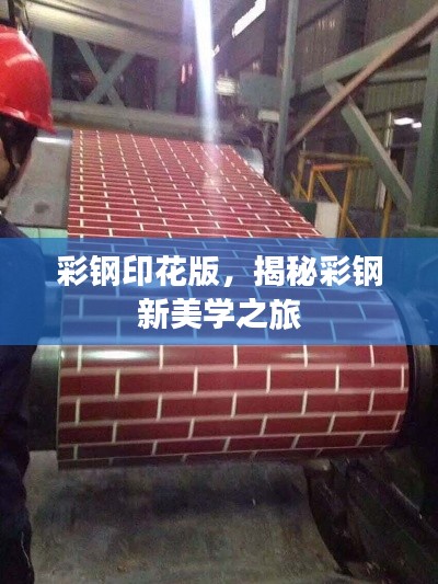 彩钢印花版,揭秘彩钢新美学之旅