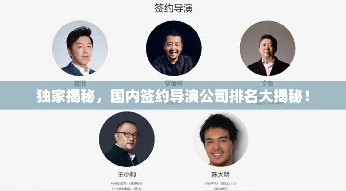 独家揭秘,国内签约导演公司排名大揭秘!