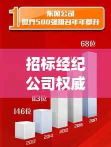 招标经纪公司权威排名揭晓,行业领军者的成功秘诀!