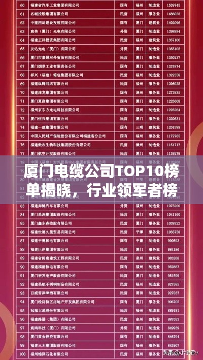 厦门电缆公司TOP10榜单揭晓,行业领军者榜单排名一网打尽!