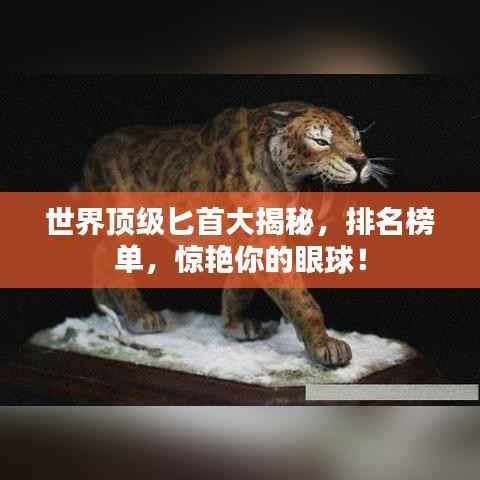 世界顶级匕首大揭秘,排名榜单,惊艳你的眼球!