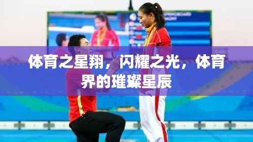 体育之星翔,闪耀之光,体育界的璀璨星辰